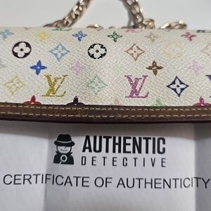 Louis Vuitton Multicolor Monogram Women's Bag